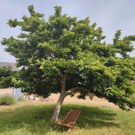 Le Clos Champetre Longué Dış mekan fotoğraf