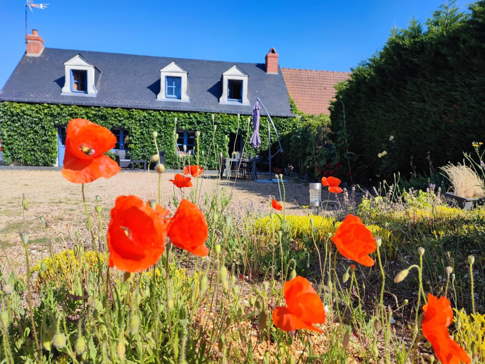Le Clos Champetre Longué Dış mekan fotoğraf